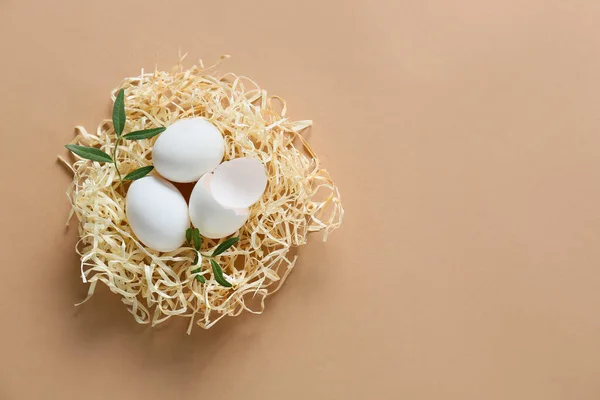 Nid Avec Oeufs Pâques Branches Sur Fond Couleur — Photo