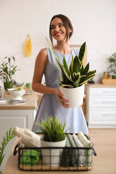 Sorridente Giovane Donna Con Pianta Appartamento Verde Cucina — Foto Stock