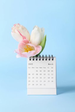 Uluslararası Kadınlar Günü kutlamaları için mavi arka planda takvim ve çiçekler