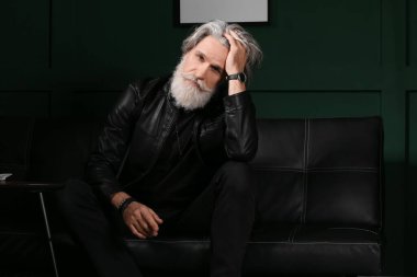 Evdeki kanepede oturan yakışıklı, olgun sakallı adamın portresi.