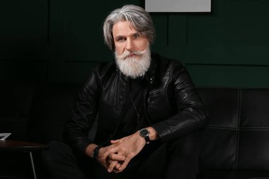 Evdeki kanepede oturan yakışıklı, olgun sakallı adamın portresi.