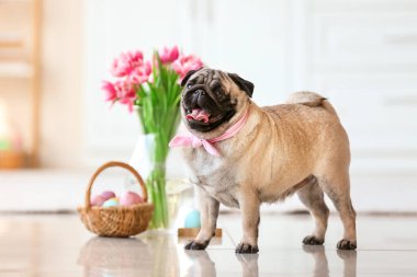 Paskalya arifesinde mutfakta komik bir köpek.