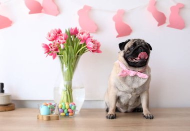 Paskalya yumurtaları ve bir buket çiçekli komik pug köpeği.