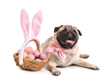 Tavşan kulaklı komik köpek ve beyaz arka planda paskalya yumurtaları.