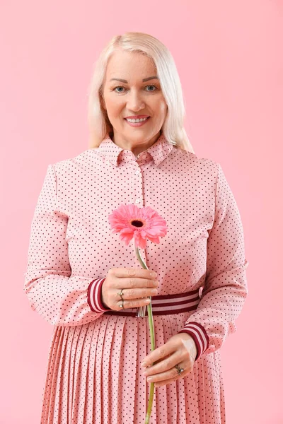 Hermosa Mujer Madura Sosteniendo Flor Gerberas Sobre Fondo Rosa Celebración — Foto de Stock