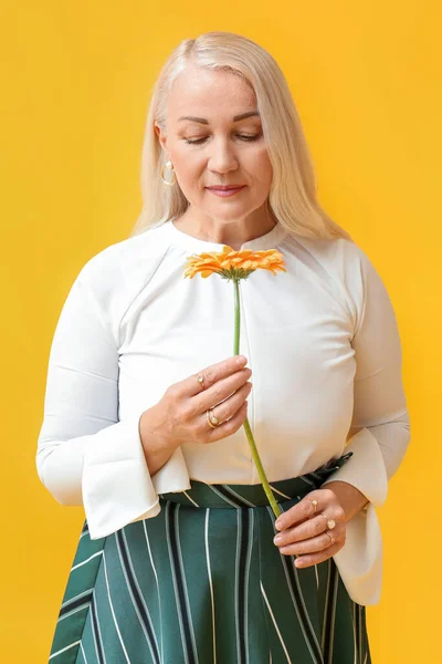 Mujer Madura Mirando Flor Gerberas Sobre Fondo Amarillo Celebración Del — Foto de Stock