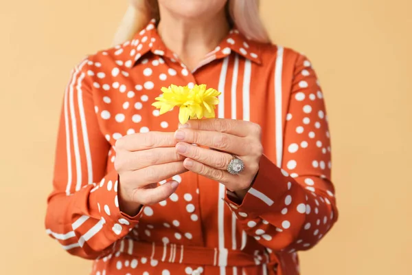 Mulher Madura Segurando Flores Crisântemo Fundo Bege Close Celebração Dia — Fotografia de Stock