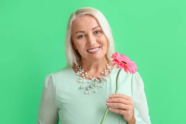 Smiling Mature Woman Holding Gerbera Flower Green Background International Women — Stock Photo, Image