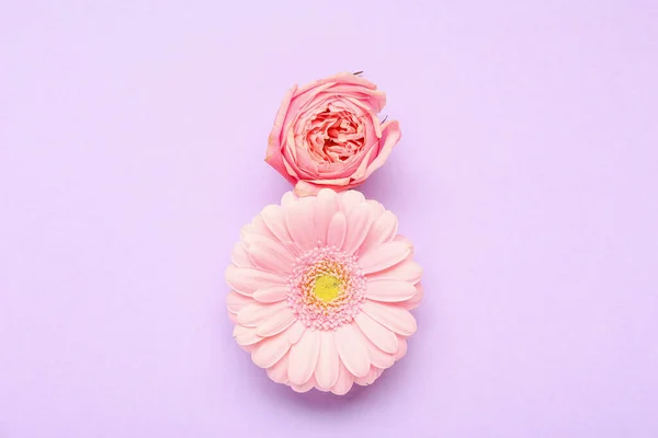 Samenstelling Met Prachtige Bloemen Lila Achtergrond Internationale Vrouwendag Viering — Stockfoto
