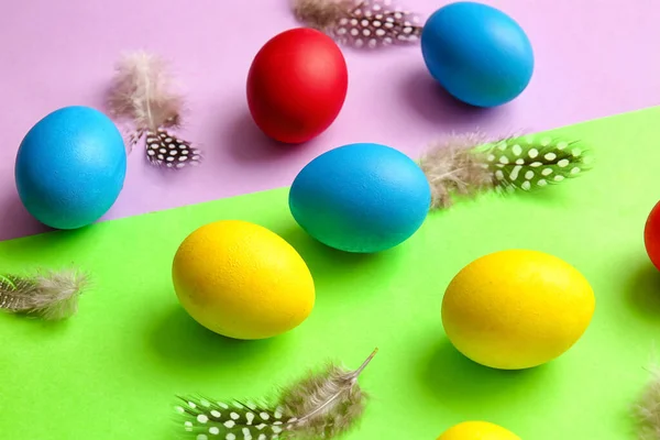 Multicolored Easter Eggs Feathers Color Background — Stock Photo, Image