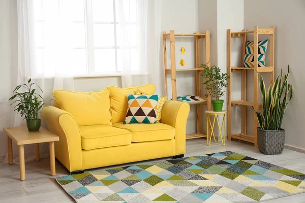 Interior Stylish Living Room Sofa Houseplants — Stock Photo, Image