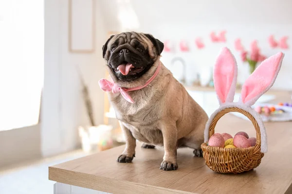 Funny Pug Dog Bunny Ears Easter Eggs Kitchen — Stock Photo, Image