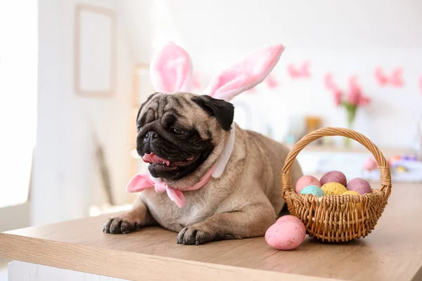 Tavşan Kulaklı Paskalya Yumurtalı Komik Bir Köpek — Stok fotoğraf