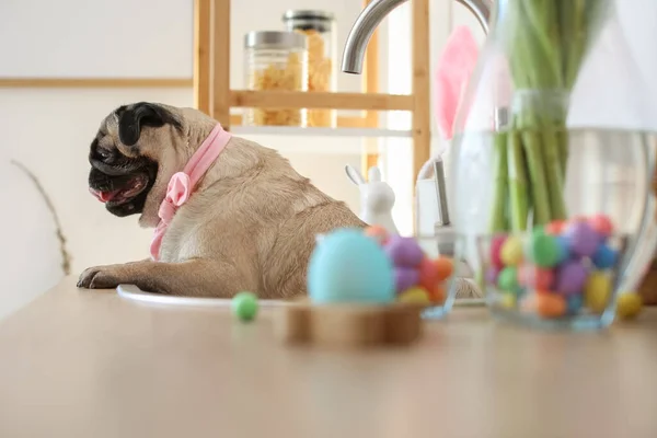 Paskalya Arifesinde Mutfakta Komik Bir Köpek — Stok fotoğraf