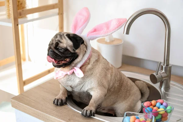Αστείος Σκύλος Pug Αυτιά Λαγουδάκι Στην Κουζίνα Την Παραμονή Του — Φωτογραφία Αρχείου