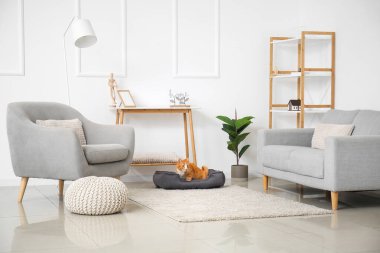 Evcil hayvan yatağında sevimli kedilerle aydınlık oturma odasının içinde.