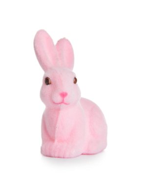 beyaz zemin üzerinde şirin Paskalya tavşanı