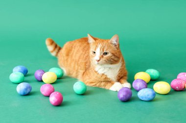 Yeşil arka planda Paskalya yumurtaları olan sevimli kırmızı kedi.