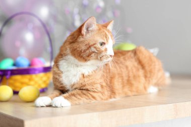 Paskalya yumurtası ve sepeti masada duran sevimli kırmızı kedi, yakın plan.