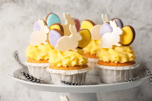 Stand Tasty Easter Cupcakes Light Background Closeup — Stock Photo, Image