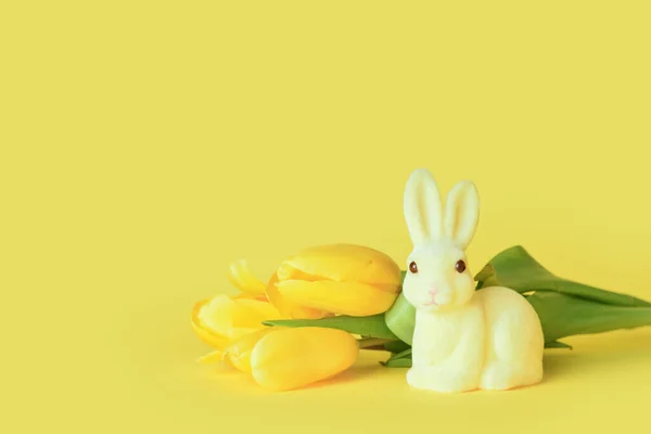 可爱的复活节兔子和黄色背景的花朵 — 图库照片