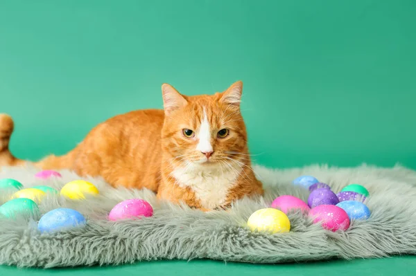 Cute Red Cat Easter Eggs Lying Carpet Green Background — Stock Photo, Image