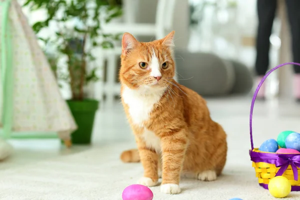 Милая Красная Кошка Пасхальными Яйцами Корзиной Ковре — стоковое фото