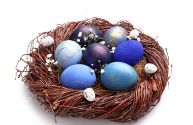 Beyaz arka planda güzel Paskalya yumurtaları ve çigila çiçekleri olan yuva, yakın plan.