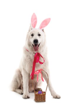 Tavşan kulaklı şirin köpek ve beyaz tenli Paskalya sepeti.