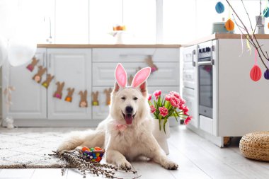 Tavşan kulaklı, çiçekli ve evde Paskalya sepetli şirin bir köpek.