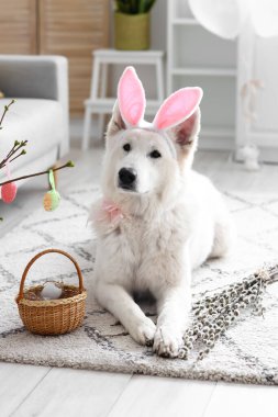 Tavşan kulaklı ve evde Paskalya sepeti olan sevimli bir köpek.