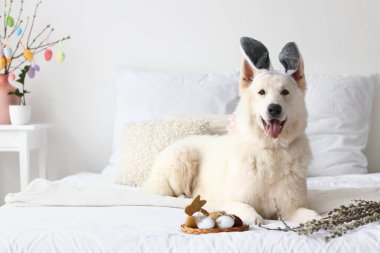 Cute dog with bunny ears, pussy willow and Easter eggs on bed
