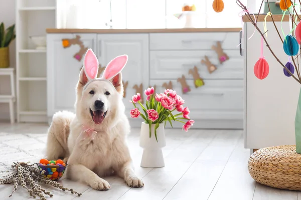 Χαριτωμένο Σκυλί Αυτιά Κουνελιού Λουλούδια Και Καλάθι Πάσχα Στο Σπίτι — Φωτογραφία Αρχείου