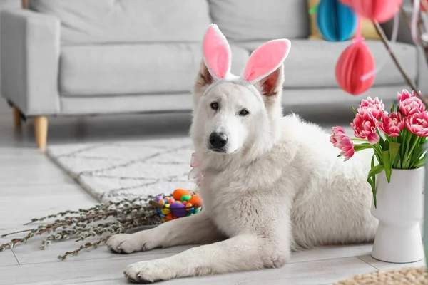 Cute Dog Bunny Ears Flowers Easter Basket Home — Stock Photo, Image
