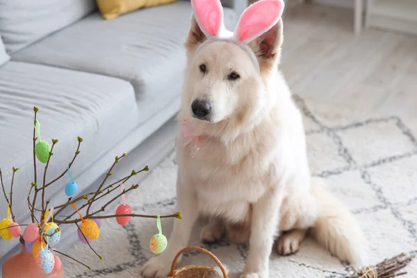 Милая Собака Кроличьими Ушами Дома Пасхальный Праздник — стоковое фото