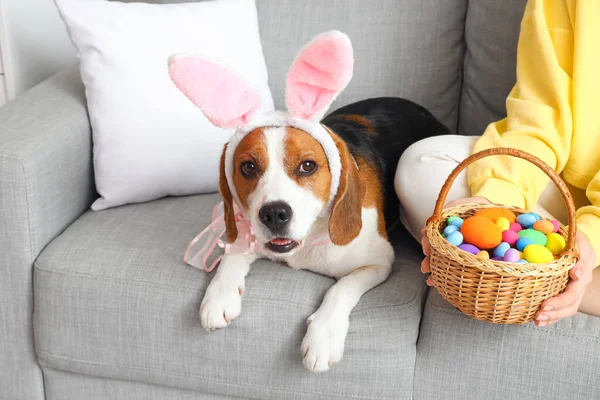 Genç Kadın Sevimli Beagle Köpeği Paskalyayı Evde Kutluyorlar — Stok fotoğraf