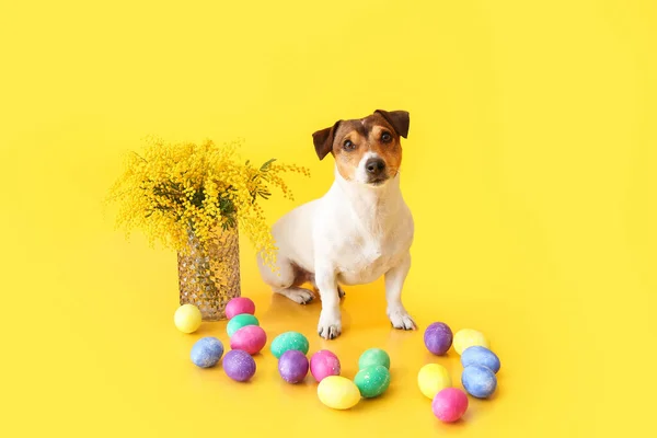 Mignon Jack Russel Terrier Avec Des Œufs Pâques Vase Fleurs — Photo