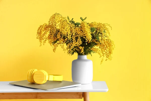 Vase Mimosa Flowers Laptop Headphones Table Color Wall Room — Stock Photo, Image