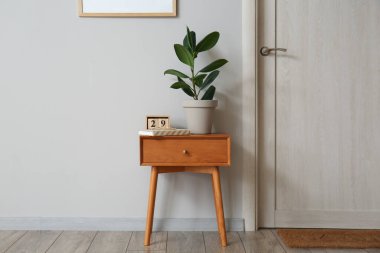 Ev bitkisi, kitap ve küp takvimi olan ahşap masa.