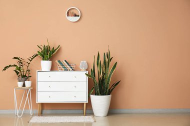 İçinde kitaplar, masa ve bej duvarın yanında bitkiler olan çekmeceler.