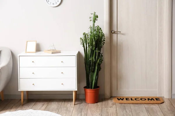 Interieur Van Lichte Hal Met Ladekast Grote Cactus — Stockfoto