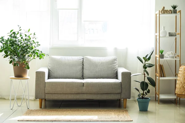 Raflar, kanepe ve çiçeklerle aydınlık oturma odasının içinde.