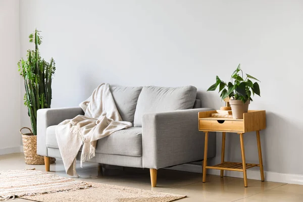 Innenraum Eines Hellen Wohnzimmers Mit Grauem Sofa Tisch Und Zimmerpflanzen — Stockfoto