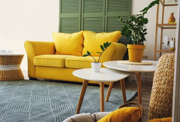 Interior Ruang Tamu Modern Dengan Meja Kopi Dan Tanaman Rumah — Stok Foto
