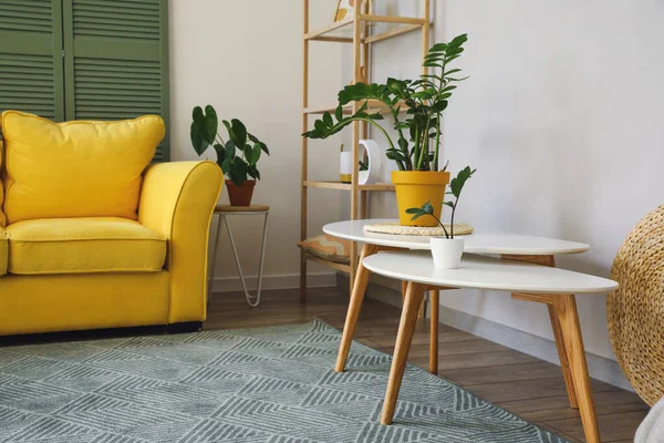 Interior Modern Living Room Coffee Tables Houseplants — Stock Photo, Image