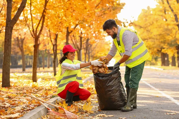 Workers Gathering Autumn Leaves Outdoors — Stock Photo, Image