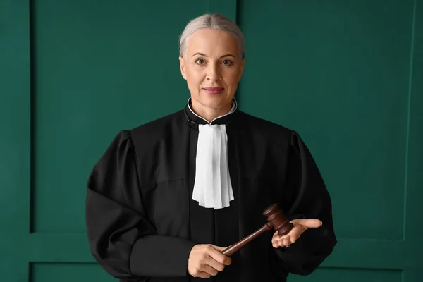 재판관 — 스톡 사진