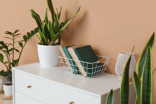 Organizer Books Houseplant Chest Drawers Beige Wall — Stock Photo, Image