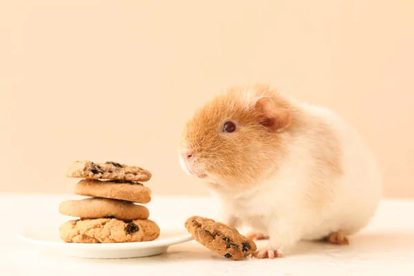 Funny Guinea Pig Cookies Table Beige Background — Stock Photo, Image