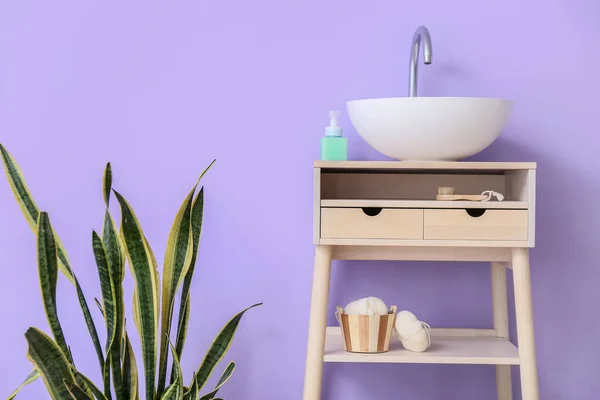 Modern Sink Houseplant Violet Wall — Stock Photo, Image